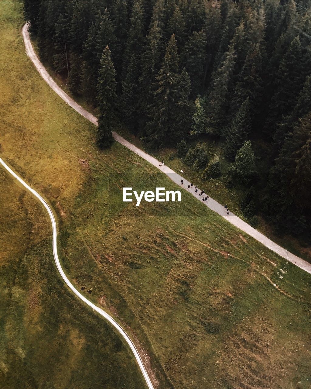 High angle view of road on mountain