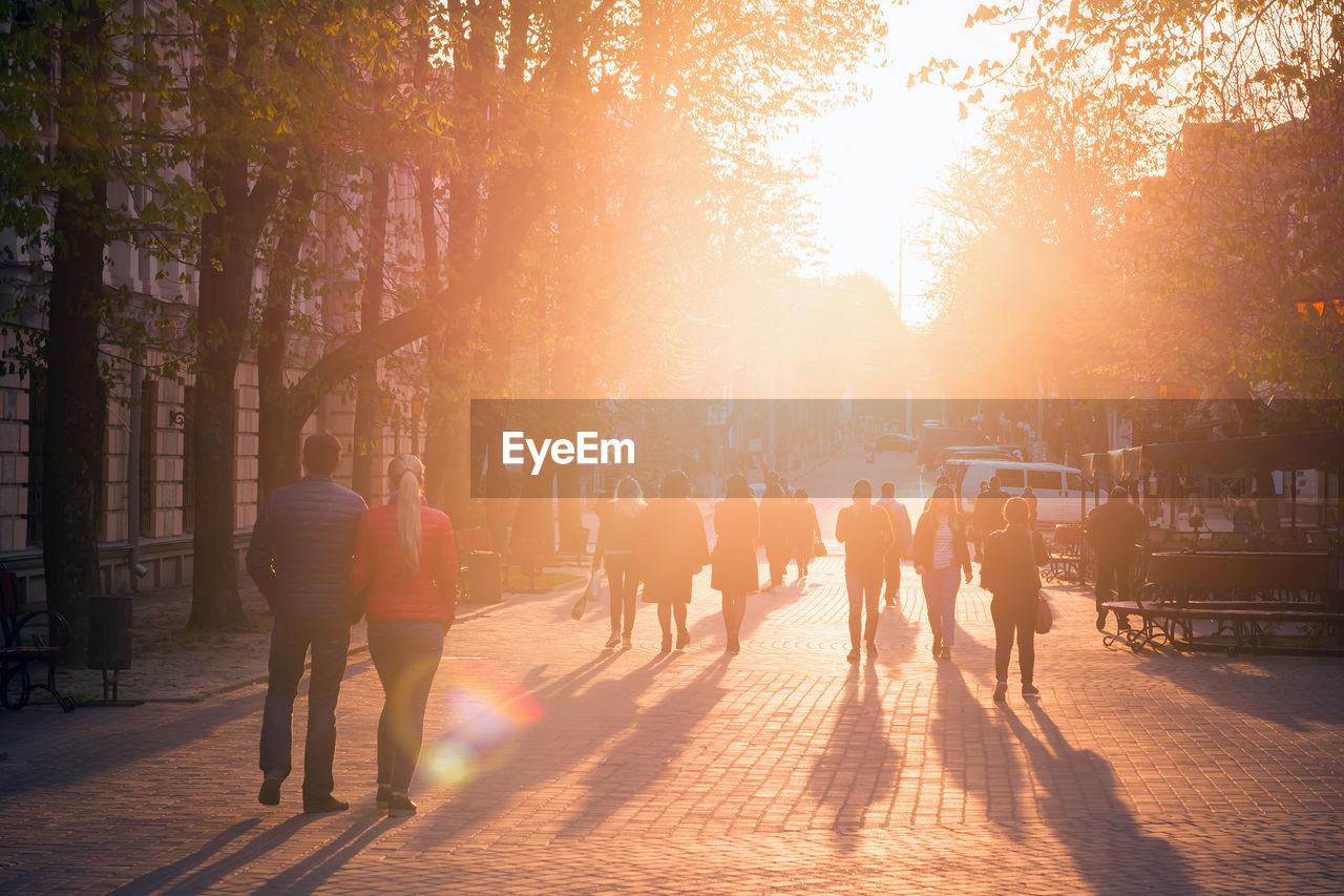 Rear view of people walking on street in city during sunset