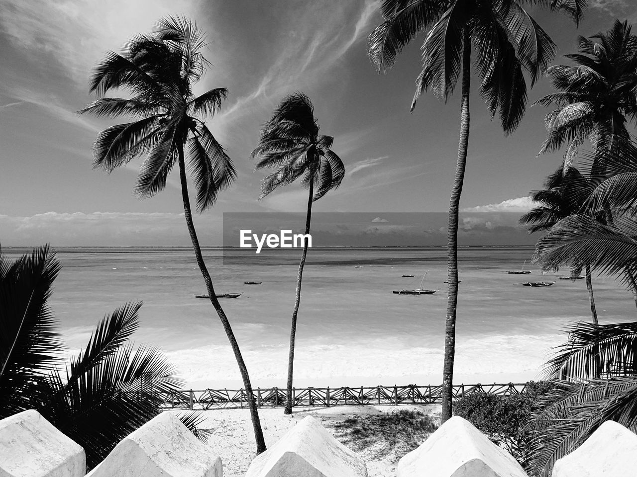 PALM TREES ON SHORE AGAINST SKY