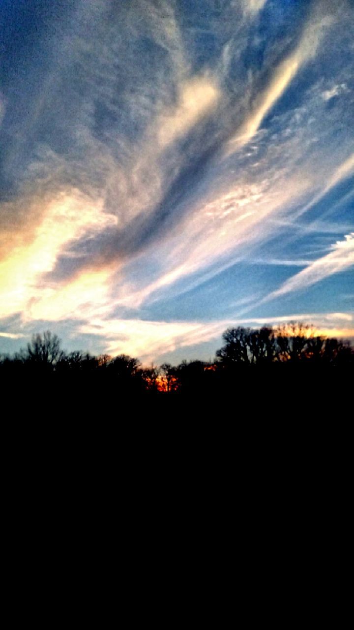 SCENIC VIEW OF SILHOUETTE TREES AGAINST SKY DURING SUNSET