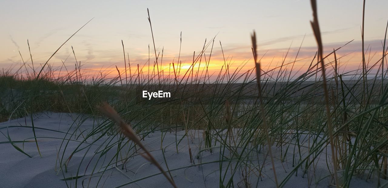 SCENIC VIEW OF LAKE DURING SUNSET