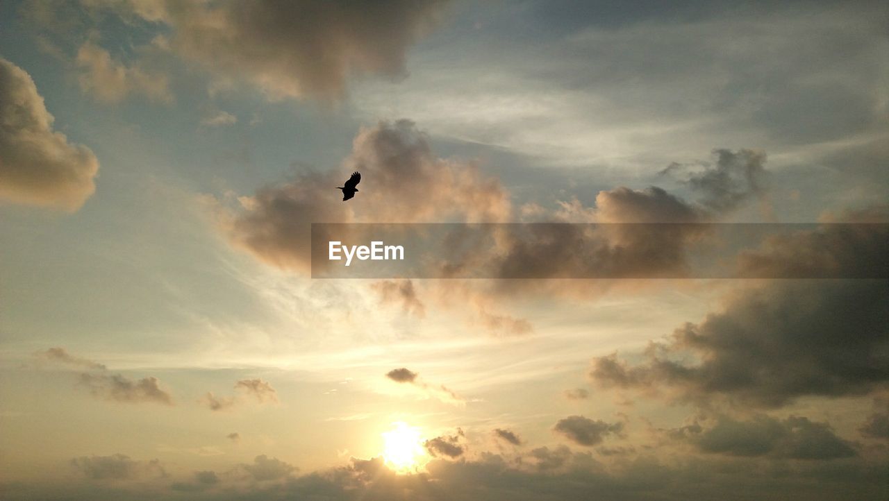 LOW ANGLE VIEW OF SILHOUETTE BIRDS FLYING AGAINST SKY