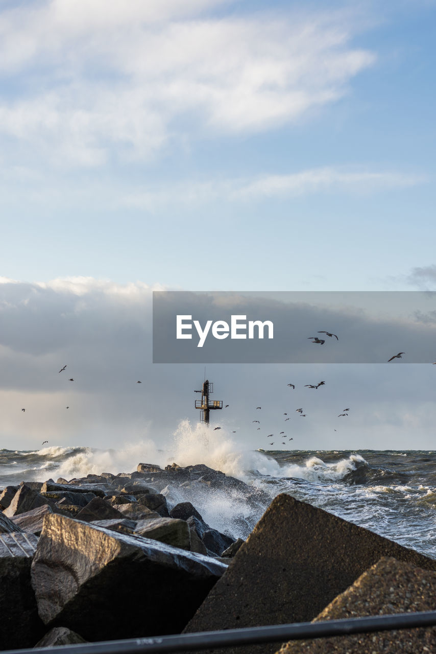 BIRD FLYING OVER SEA AGAINST BUILDINGS