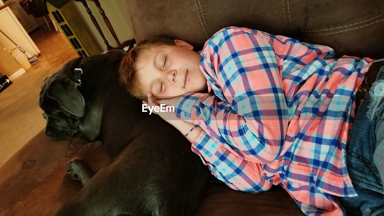 Boy sleeping on dog at home