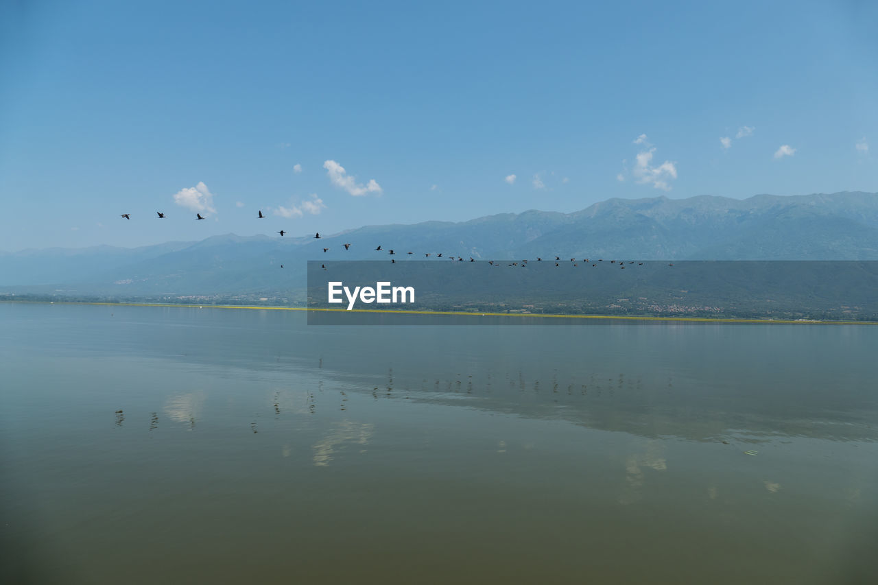 FLOCK OF BIRDS FLYING OVER LAKE AGAINST SKY