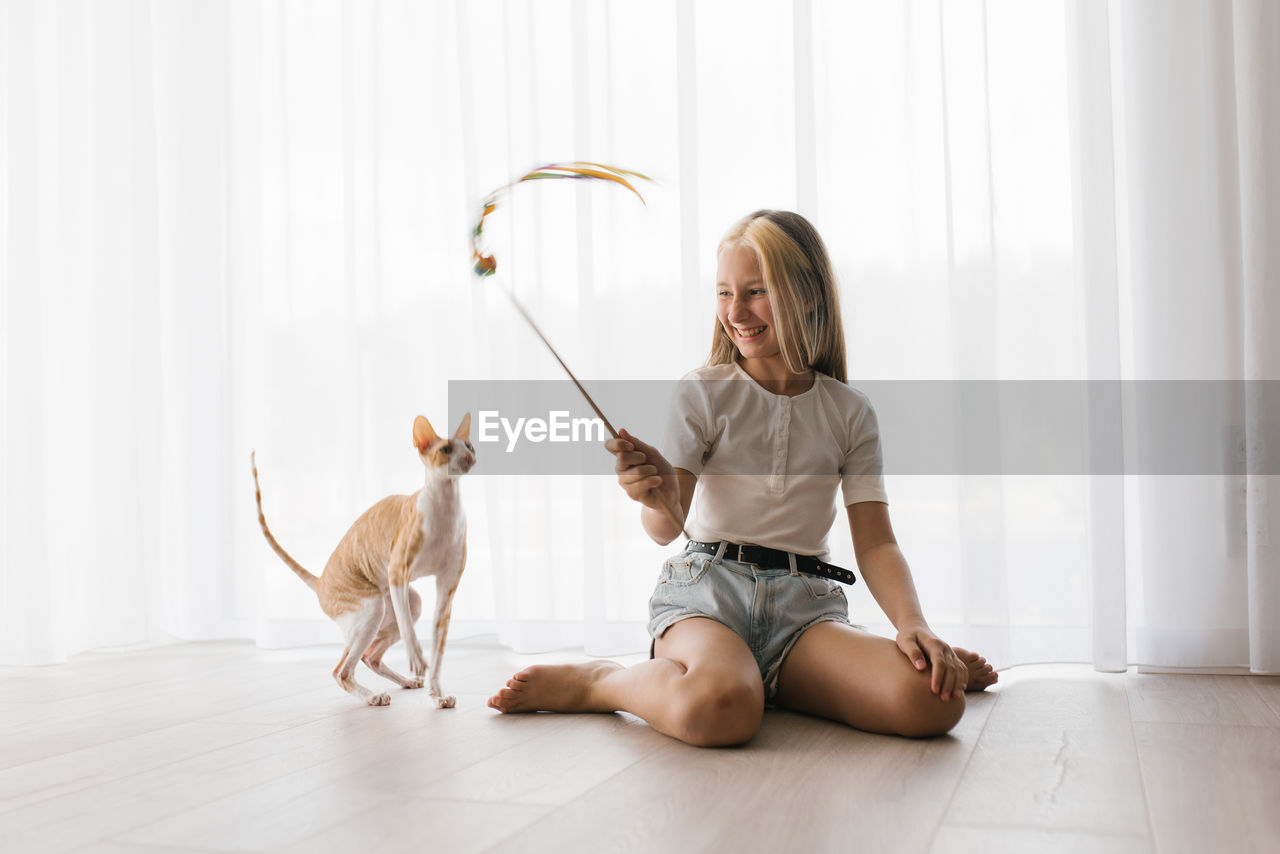 Caucasian teenage girl plays with a cornish rex cat at home on a sunny day, focusing on a pet 