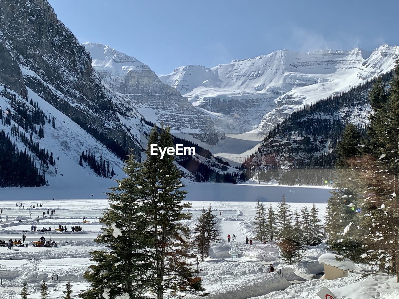 Winter wonderland in alberta canada