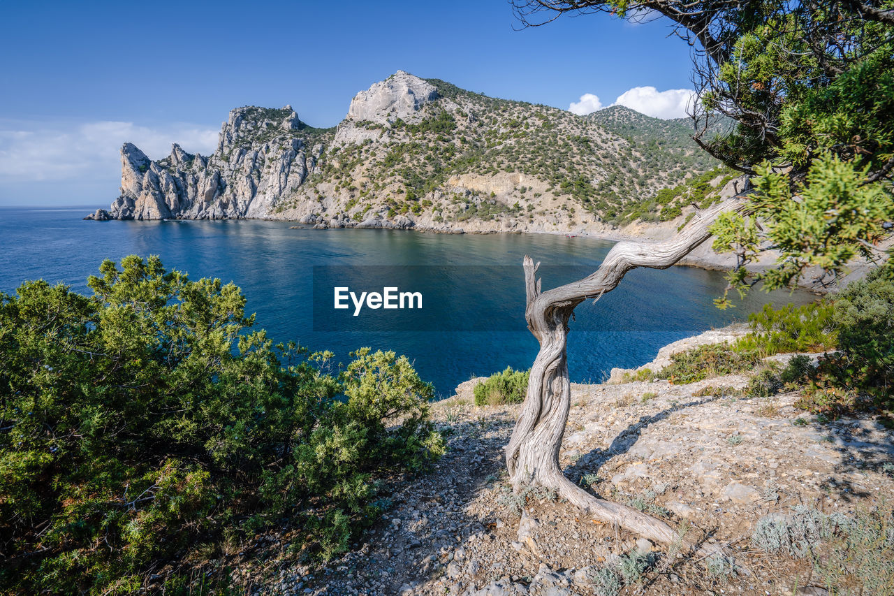 SCENIC VIEW OF SEA AND ROCKS AGAINST SKY