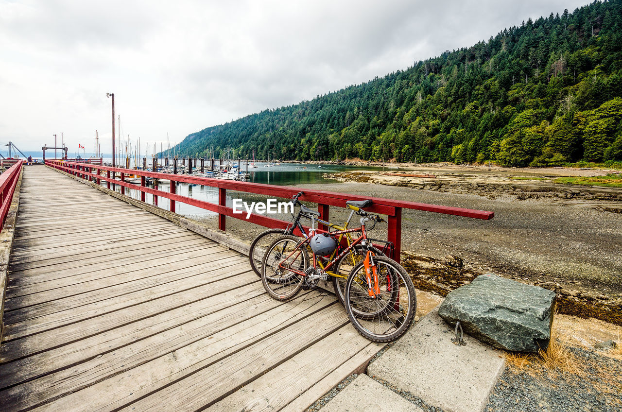 Bicycles parked on footbridge against trees