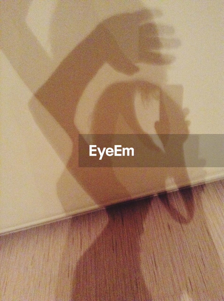 shadow, indoors, no people