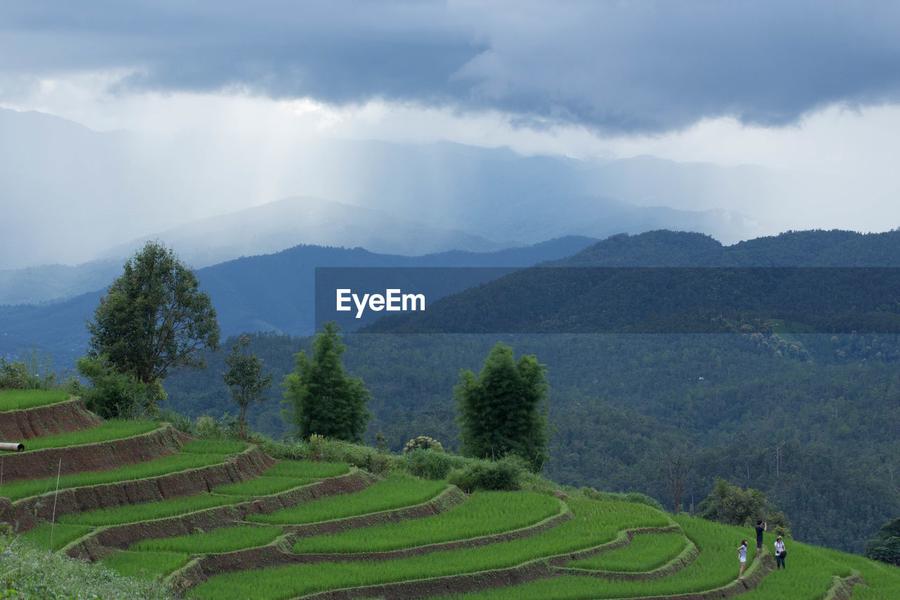 PANORAMIC VIEW OF AGRICULTURAL FIELD AGAINST SKY