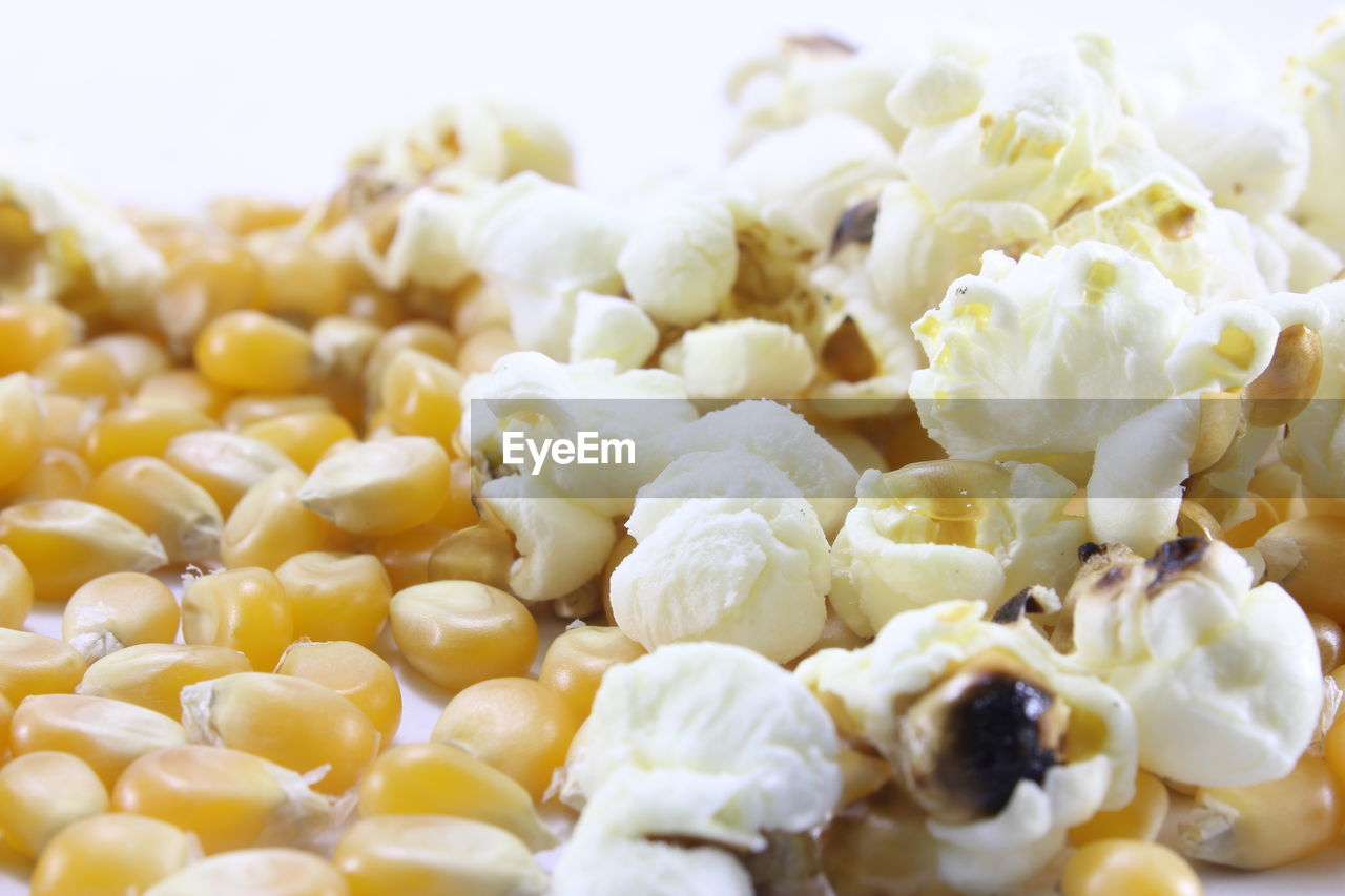 Corn kernels for making popcorn on a white background.