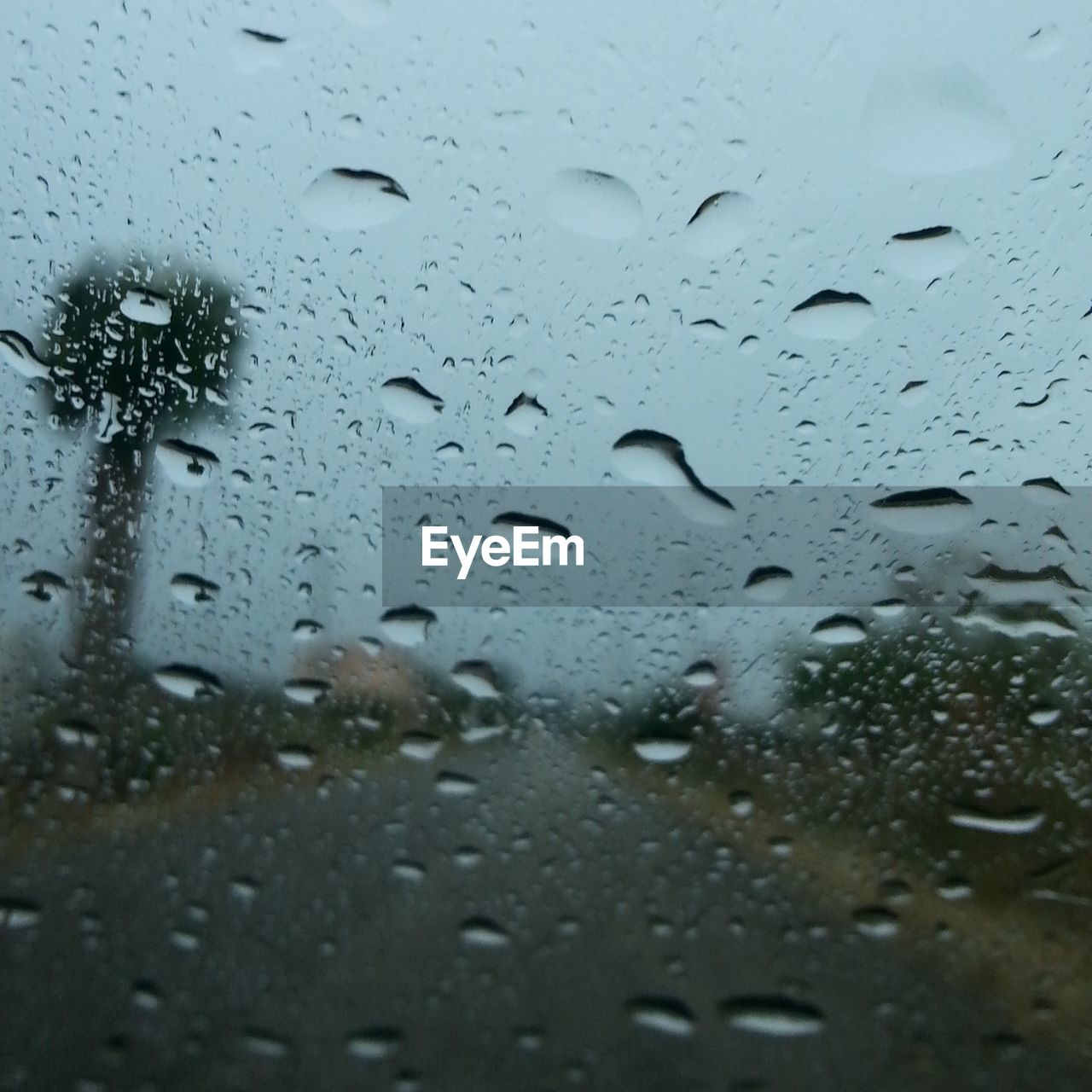 Full frame shot of water drops on glass