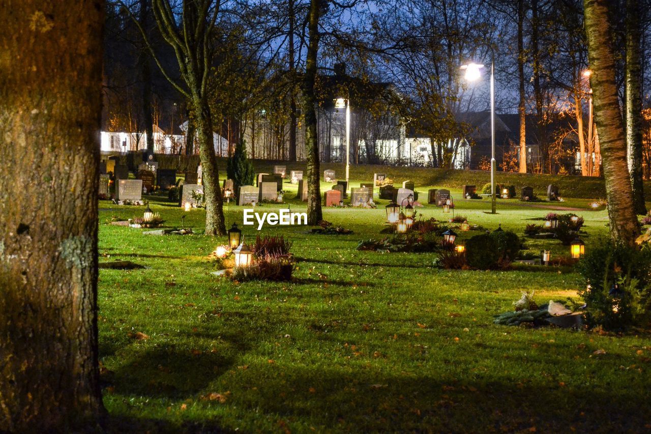 VIEW OF CEMETERY