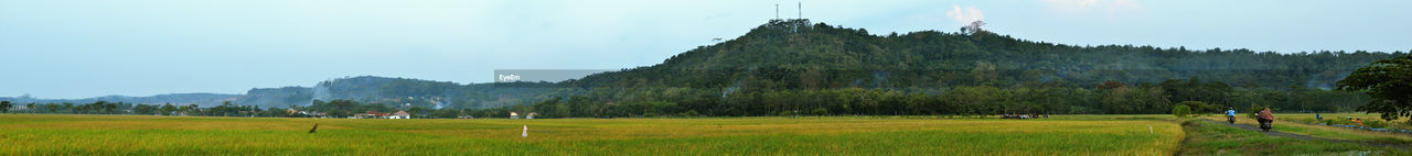 PANORAMIC SHOT OF PEOPLE ON FIELD AGAINST SKY