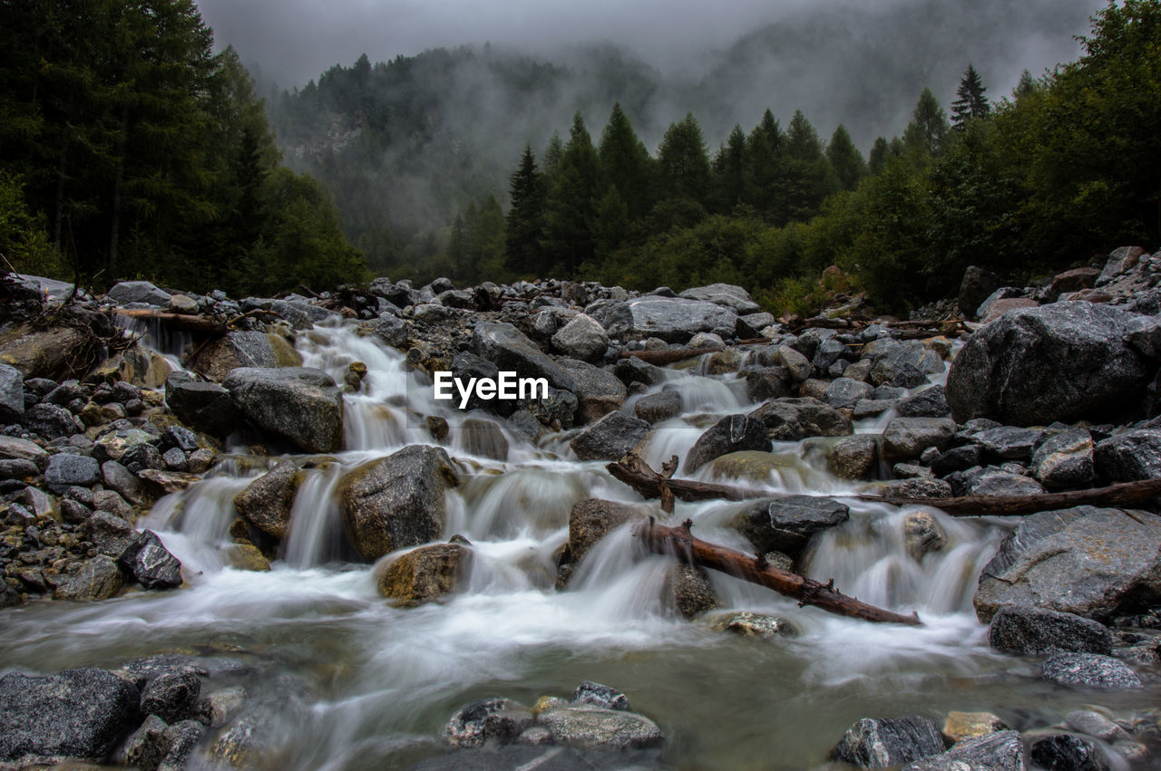 VIEW OF WATERFALL IN FOREST