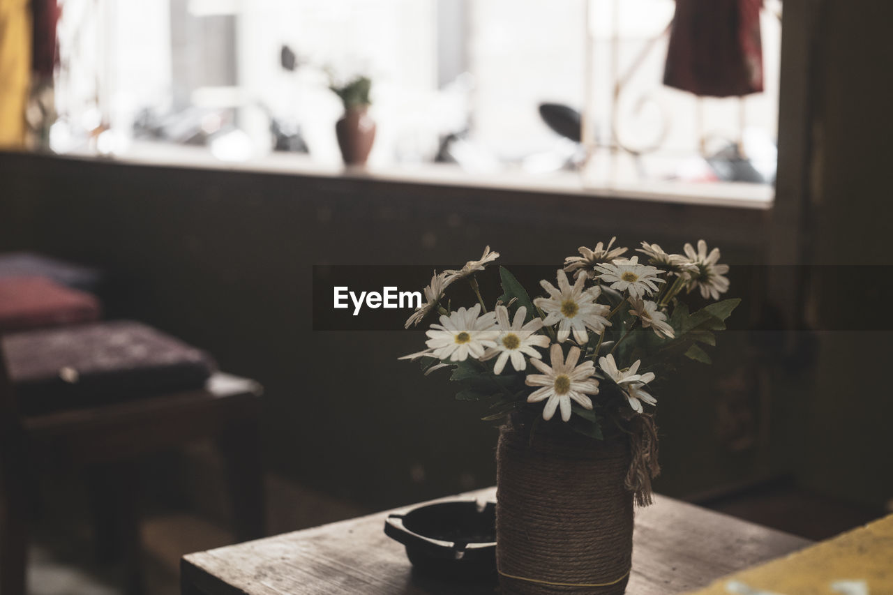 CLOSE-UP OF FLOWER POT ON TABLE AT HOME