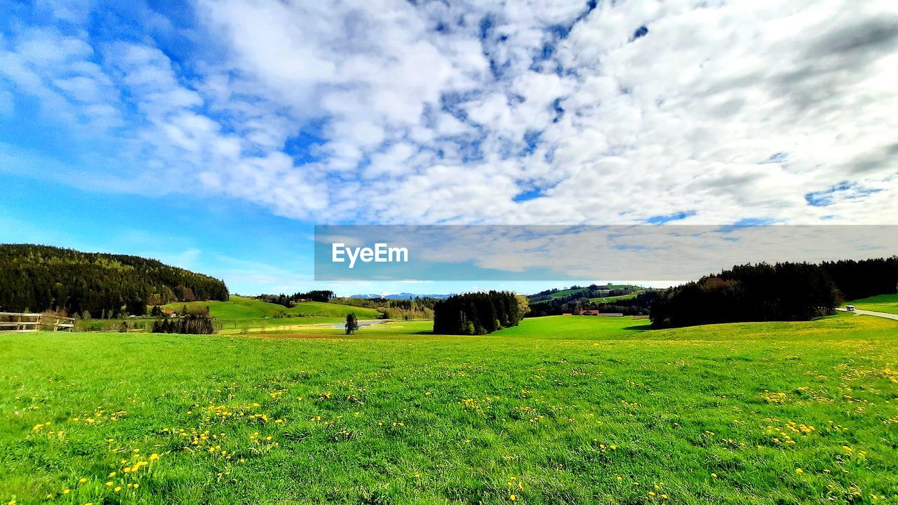 SCENIC VIEW OF GRASSY FIELD AGAINST SKY