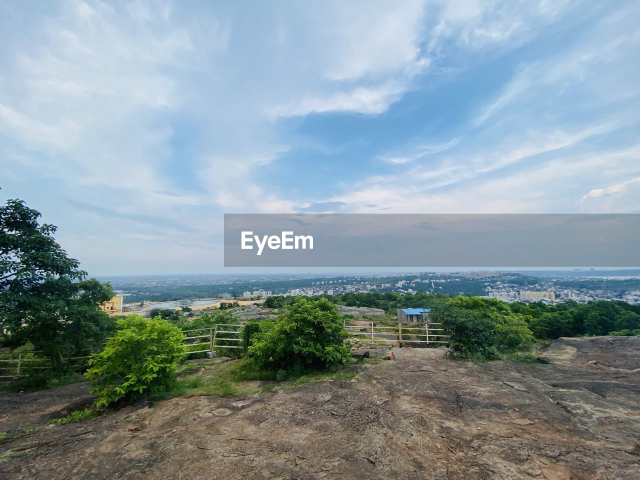 SCENIC VIEW OF SEA AND TREES AGAINST SKY