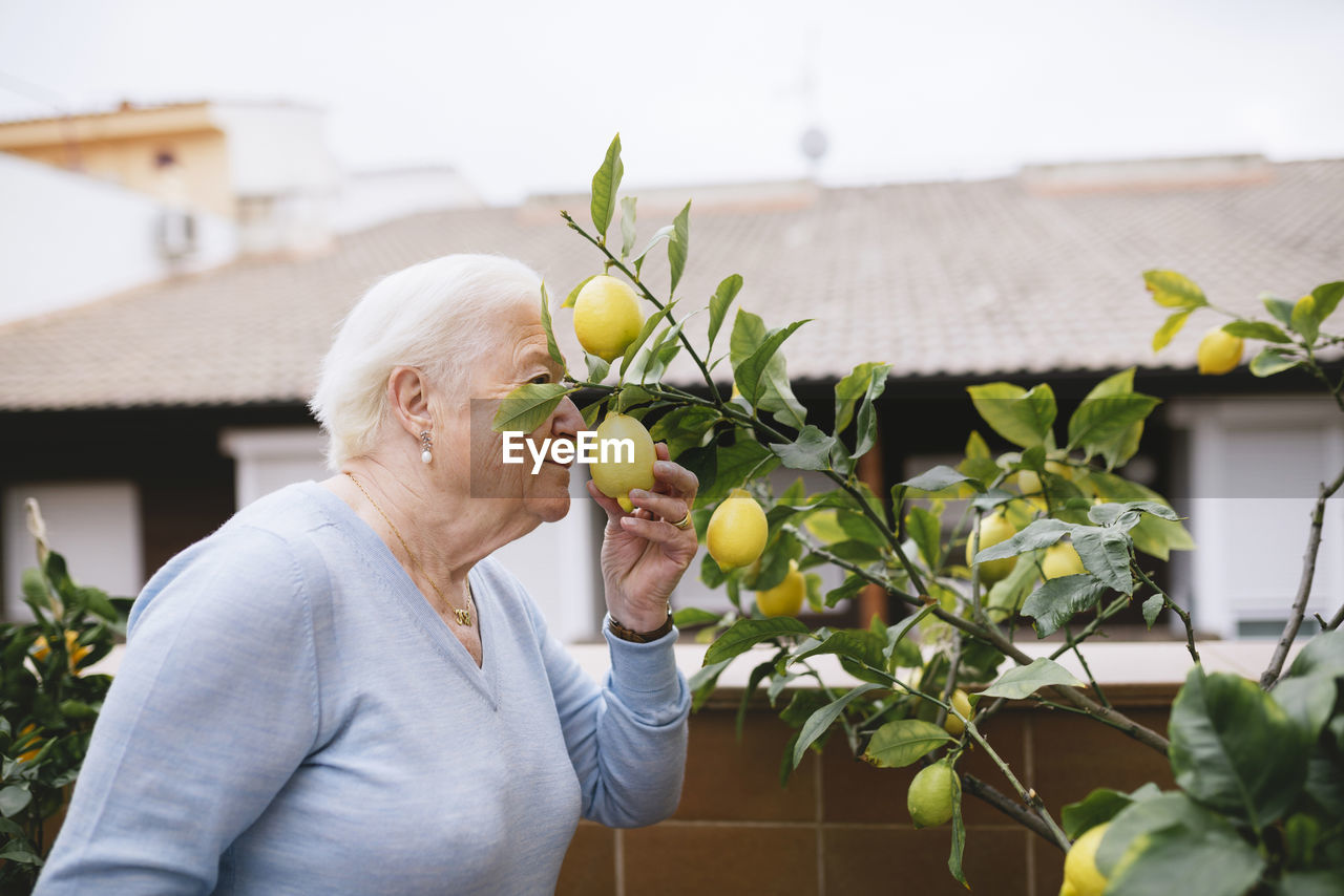 Senior woman smelling lemon of her lemon tree