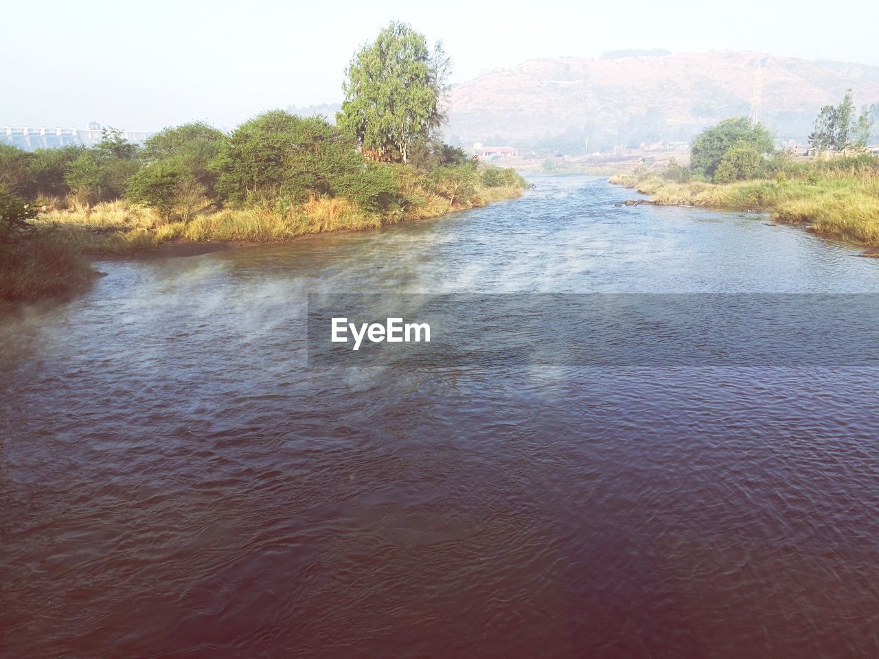 RIVER AMIDST TREES IN FOREST