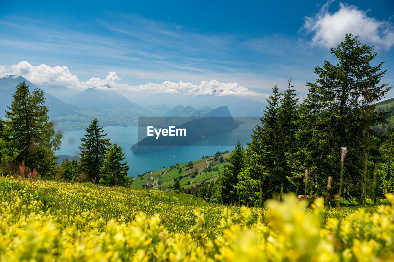 Scenic view of grassy field and mountains against sky