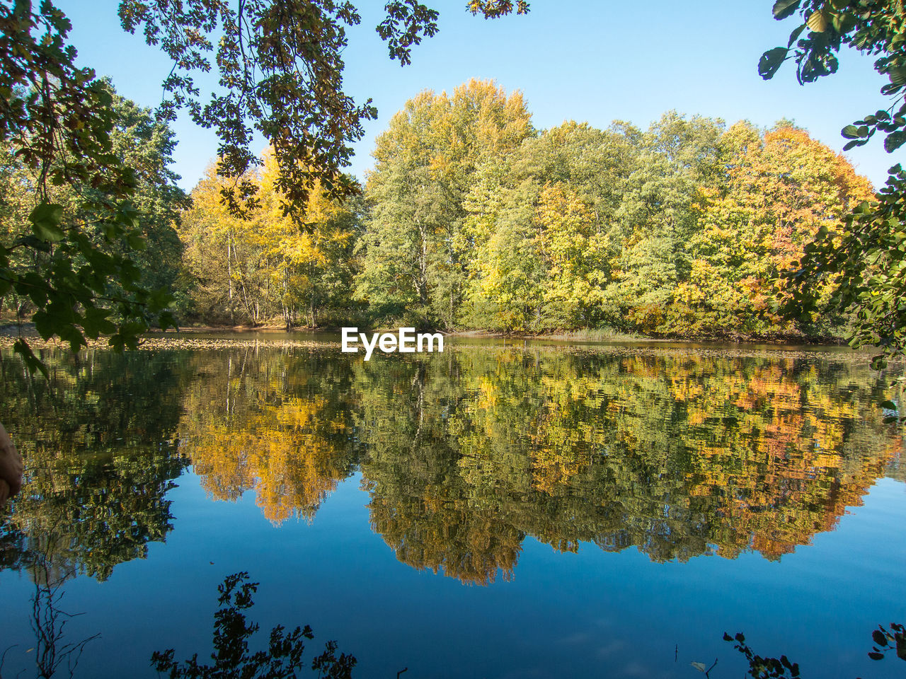 Reflection of trees in lake against sky during autumn