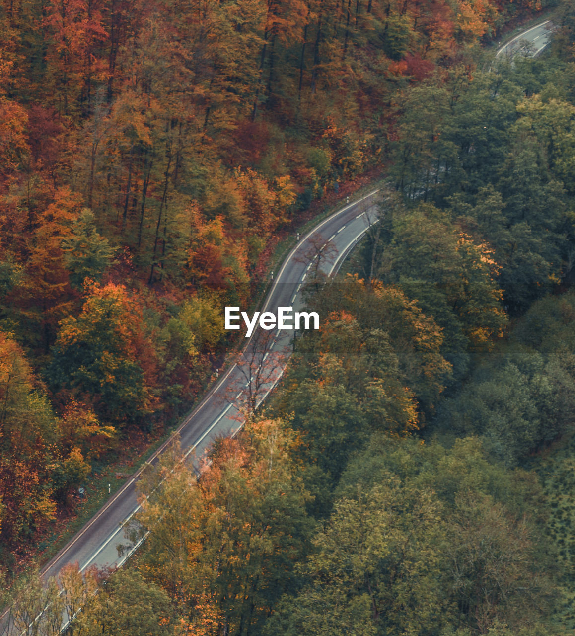 High angle view of road amidst trees during autumn