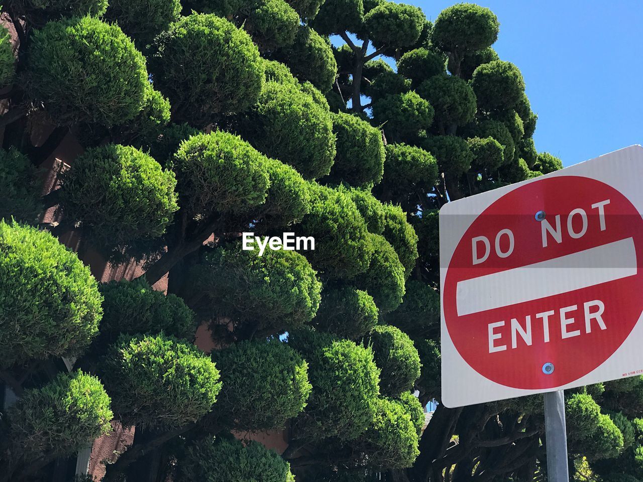 CLOSE-UP OF ROAD SIGNS AGAINST SKY