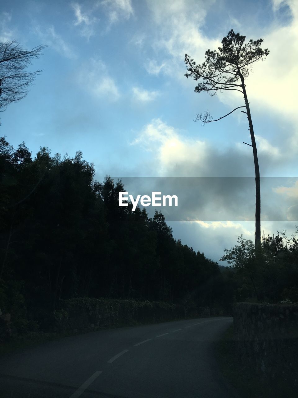 Road passing through landscape