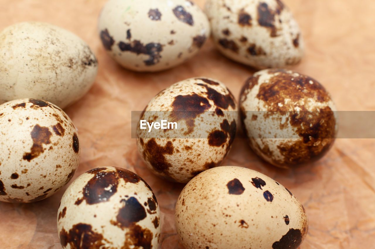 food, food and drink, egg, easter, easter egg, celebration, no people, holiday, tradition, animal egg, freshness, group of objects, close-up, still life, chocolate, spotted, brown, sweet food, indoors, nature, baked, medium group of objects