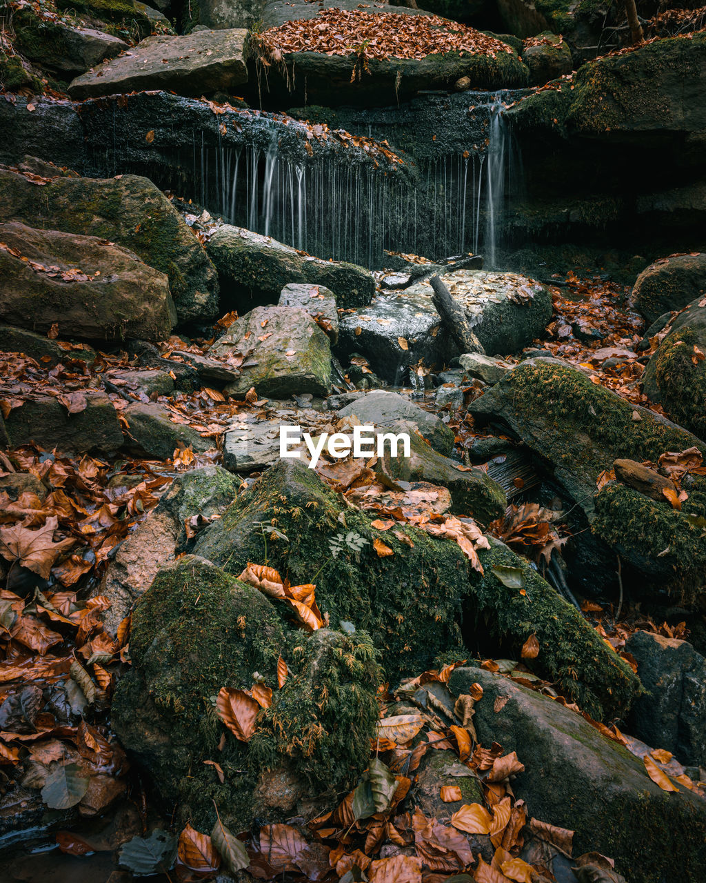 Waterfall behind moss rocks in the forest in autumn, golden leaves