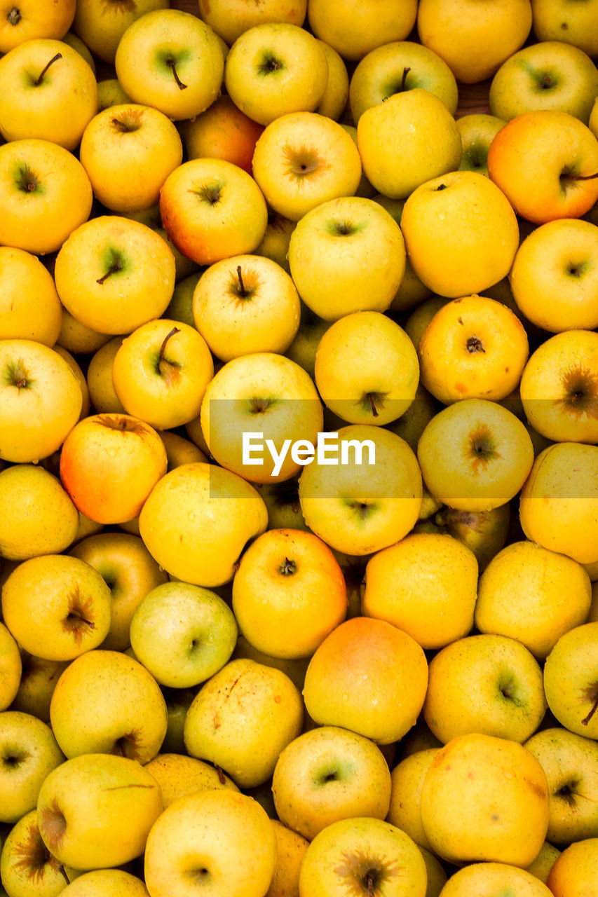 Crate of yellow apples