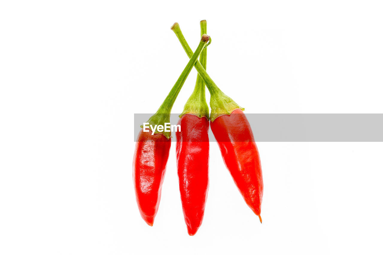 CLOSE-UP OF RED CHILI PEPPER OVER WHITE BACKGROUND