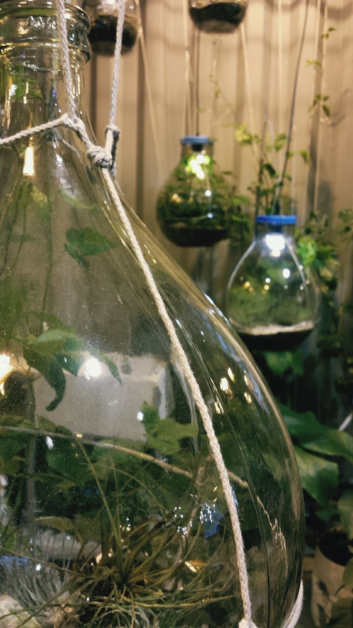 CLOSE-UP OF GLASS BOTTLE WITH REFLECTION ON TABLE