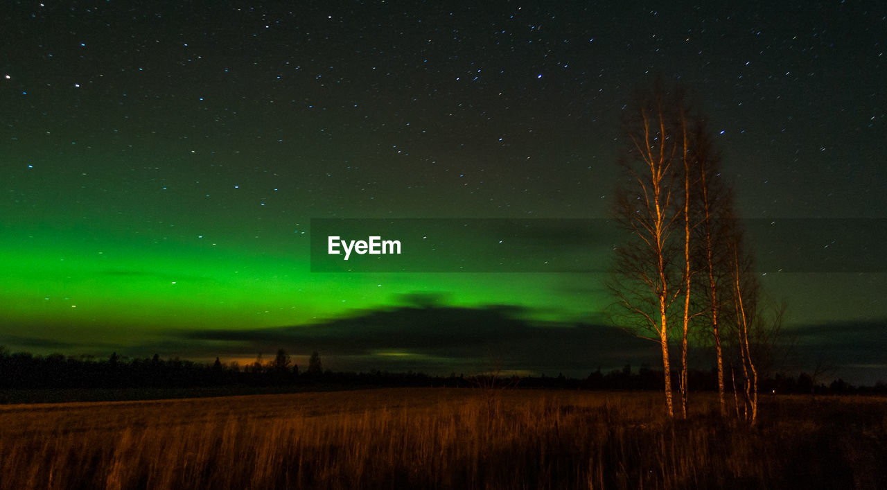 Scenic view of field against sky at night