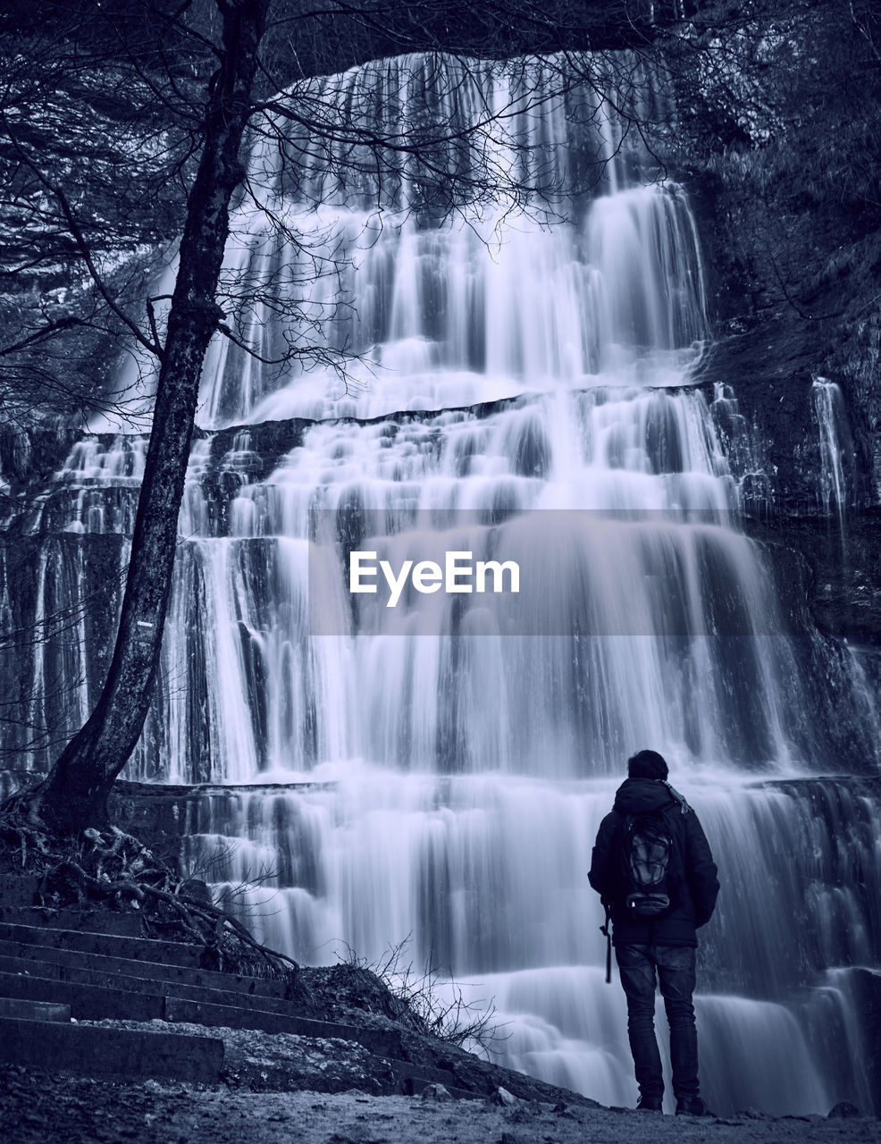 Rear view of man standing by waterfall in forest