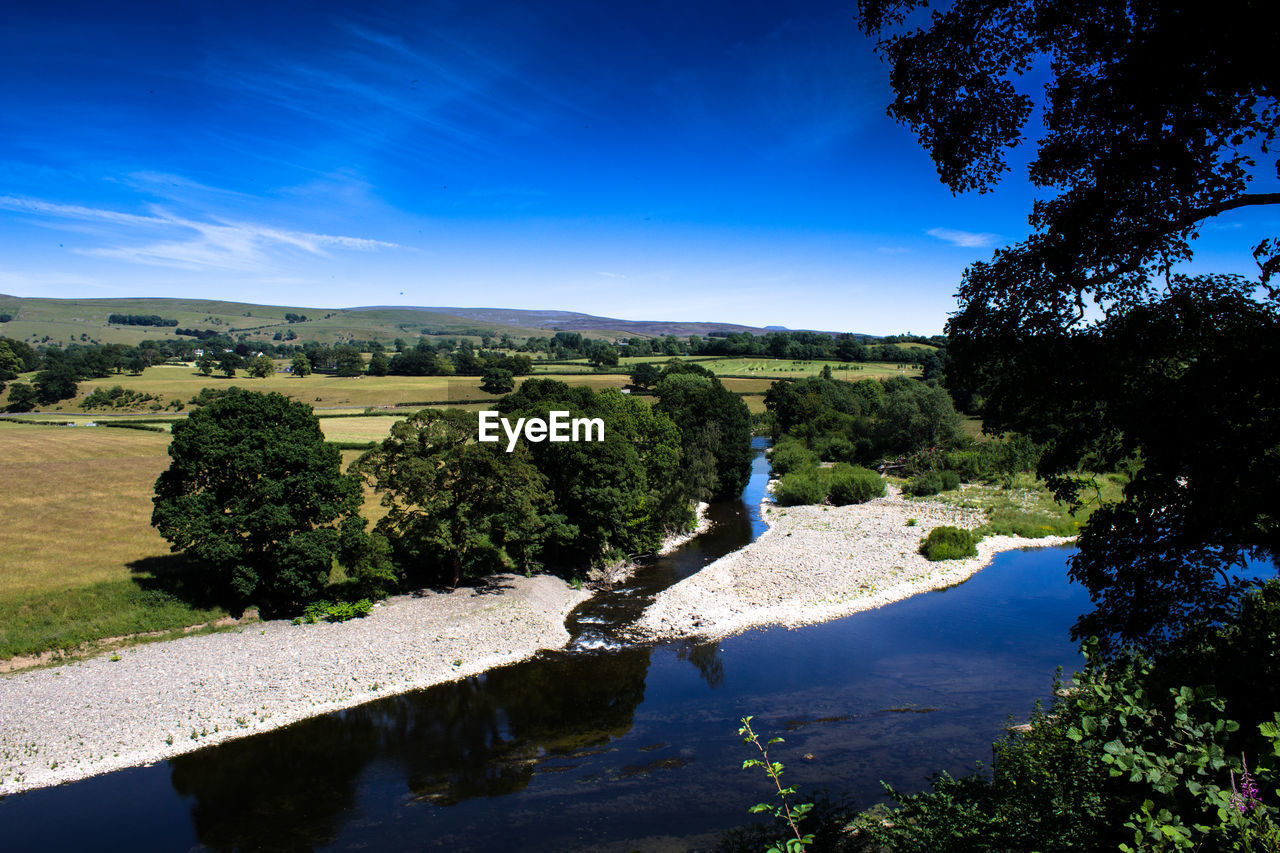 SCENIC VIEW OF TREES ON LANDSCAPE AGAINST SKY