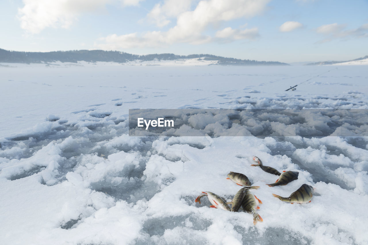 SCENIC VIEW OF SEA DURING WINTER