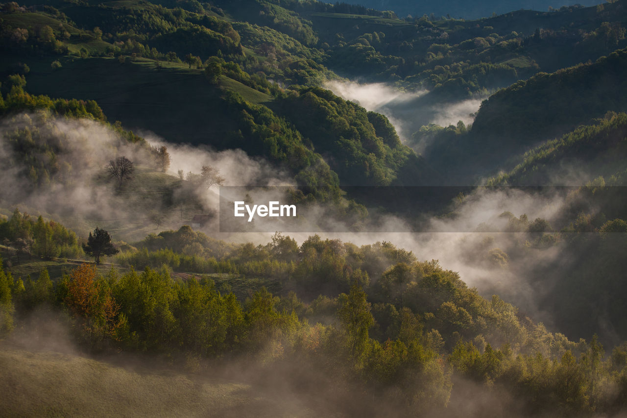 Mountain landscape in the spring season.