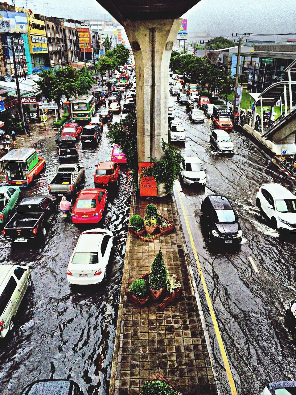 Vehicles on road along buildings