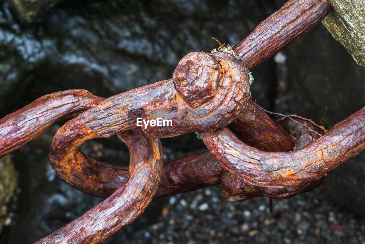 Close-up of rusty metal chain