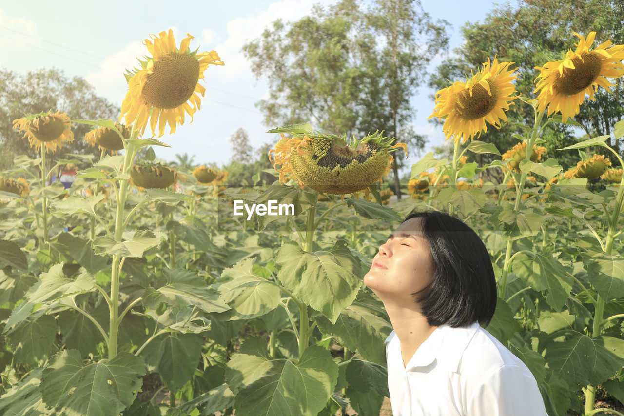 Portrait of woman with sunflower against plants