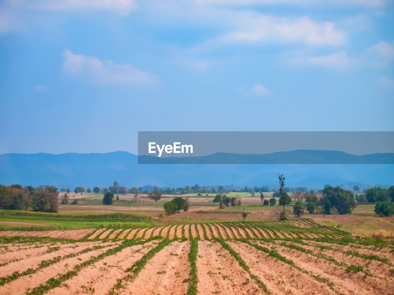 SCENIC VIEW OF AGRICULTURAL LANDSCAPE AGAINST SKY