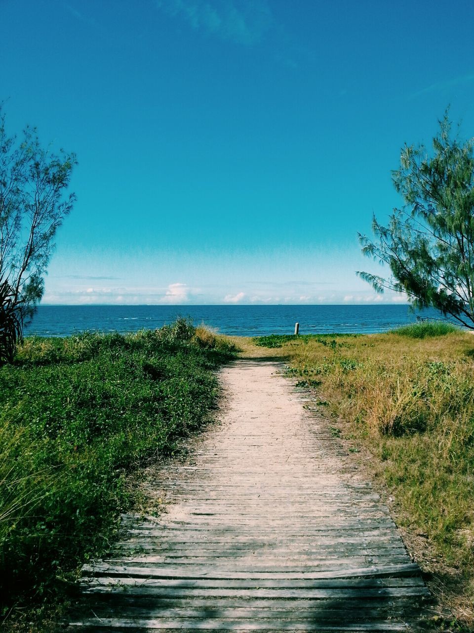 Boardwalk amidst grassy field leading towards sea against blue sky