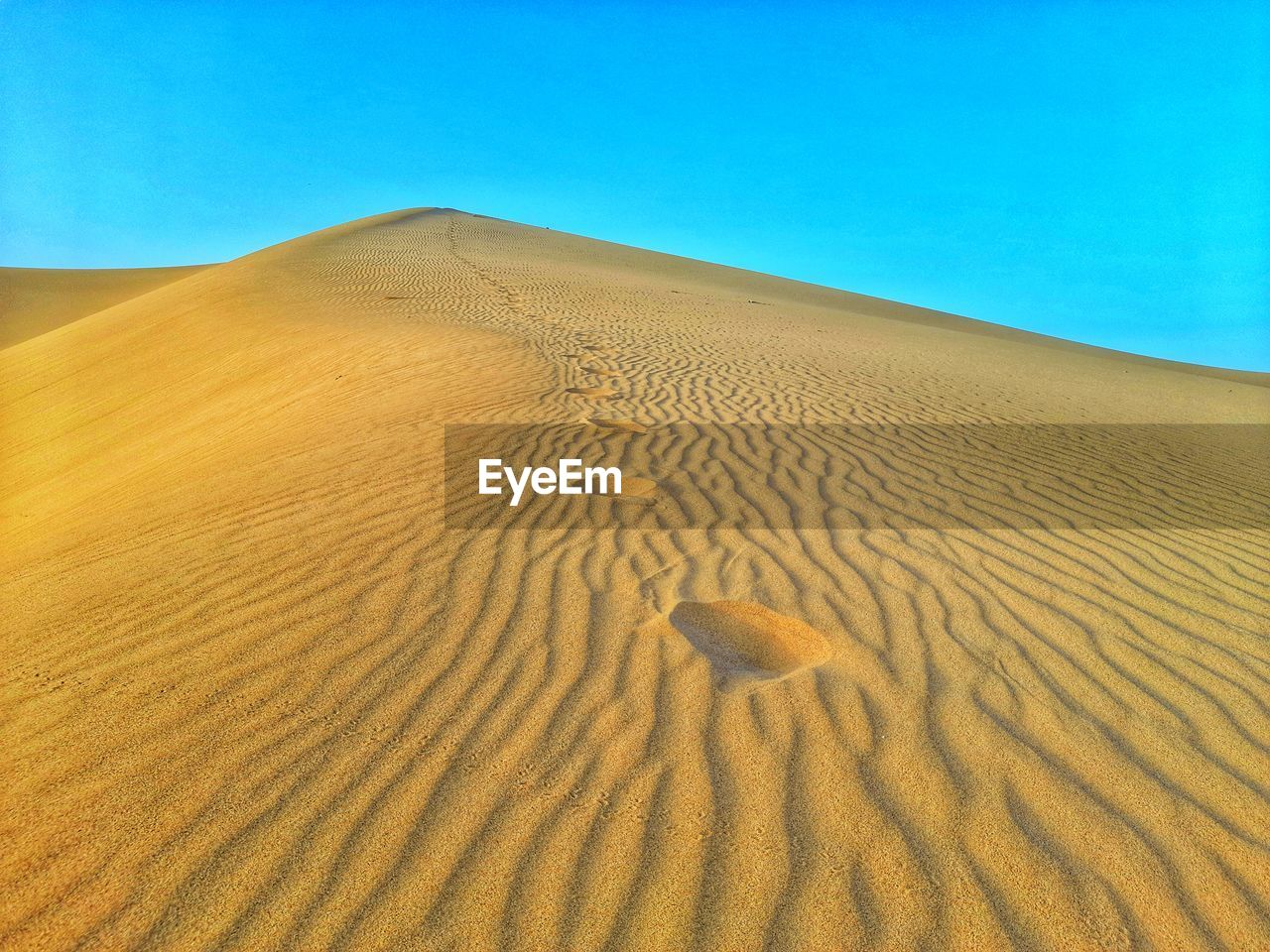 Gold sand dunes in desert of algeria