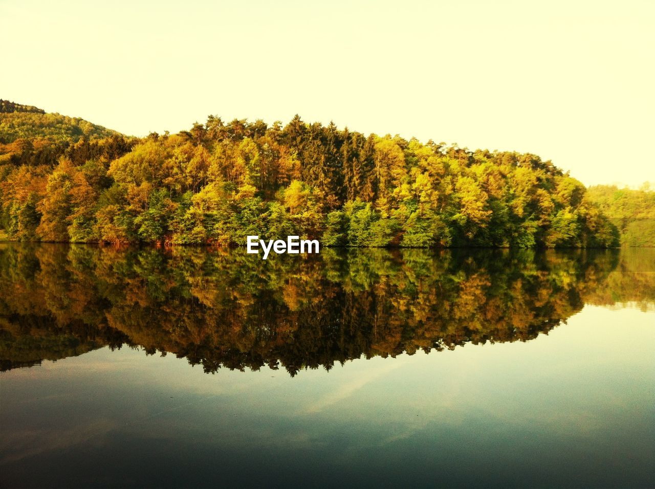 Reflection of autumn trees in calm lake