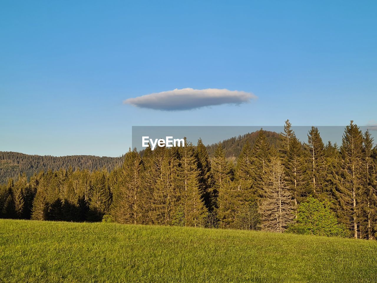 Scenic view of field against blue sky