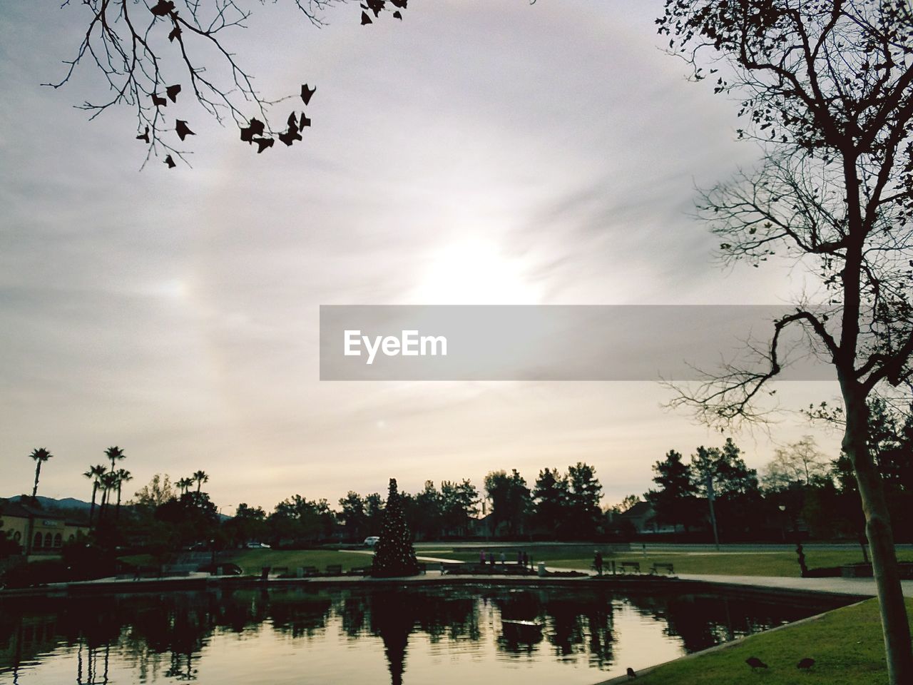 SCENIC VIEW OF LAKE BY TREES AGAINST SKY