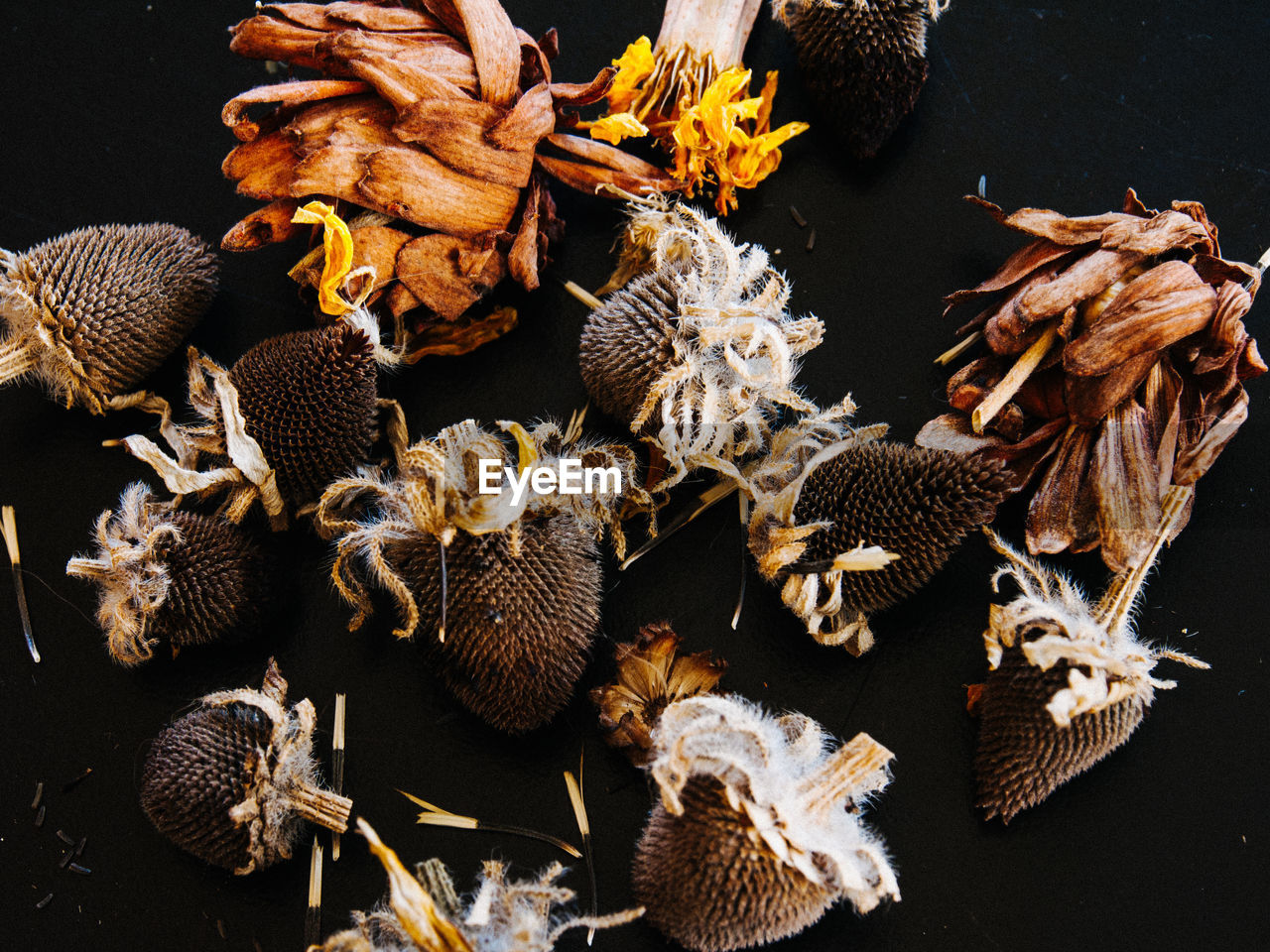 High angle view of dried flowers on table